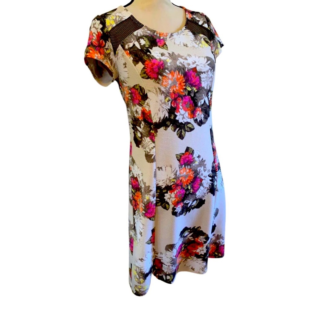 Mesh inset multicolor dress